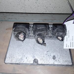 2004 FORD EXPEDITION ENG/MOTOR CONT MOD - 1000925962