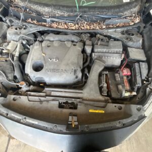 2018 NISSAN MAXIMA HOOD - 157876