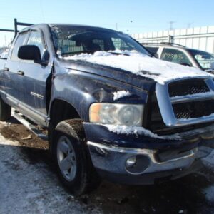 2002 DODGE DODGE_1500_PICKUP RADIATORS - 1000437954
